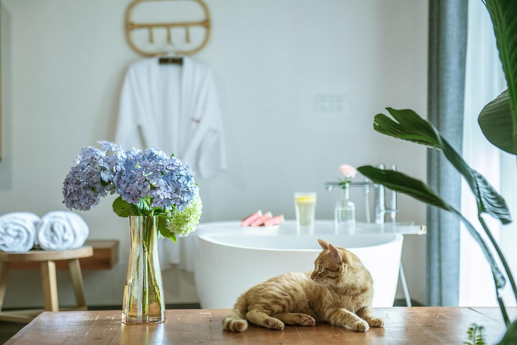 Wastone Appartement Liyangcun Buitenkant foto